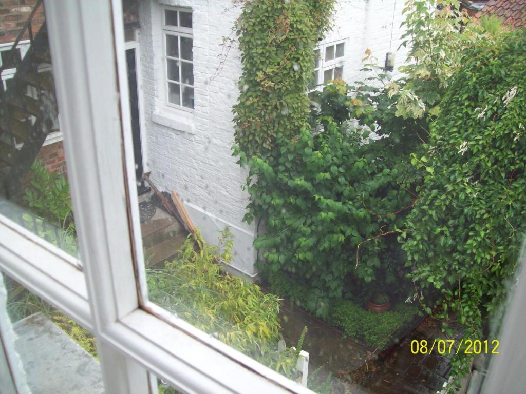 Minster Garth Guest House بيفيرلي الغرفة الصورة