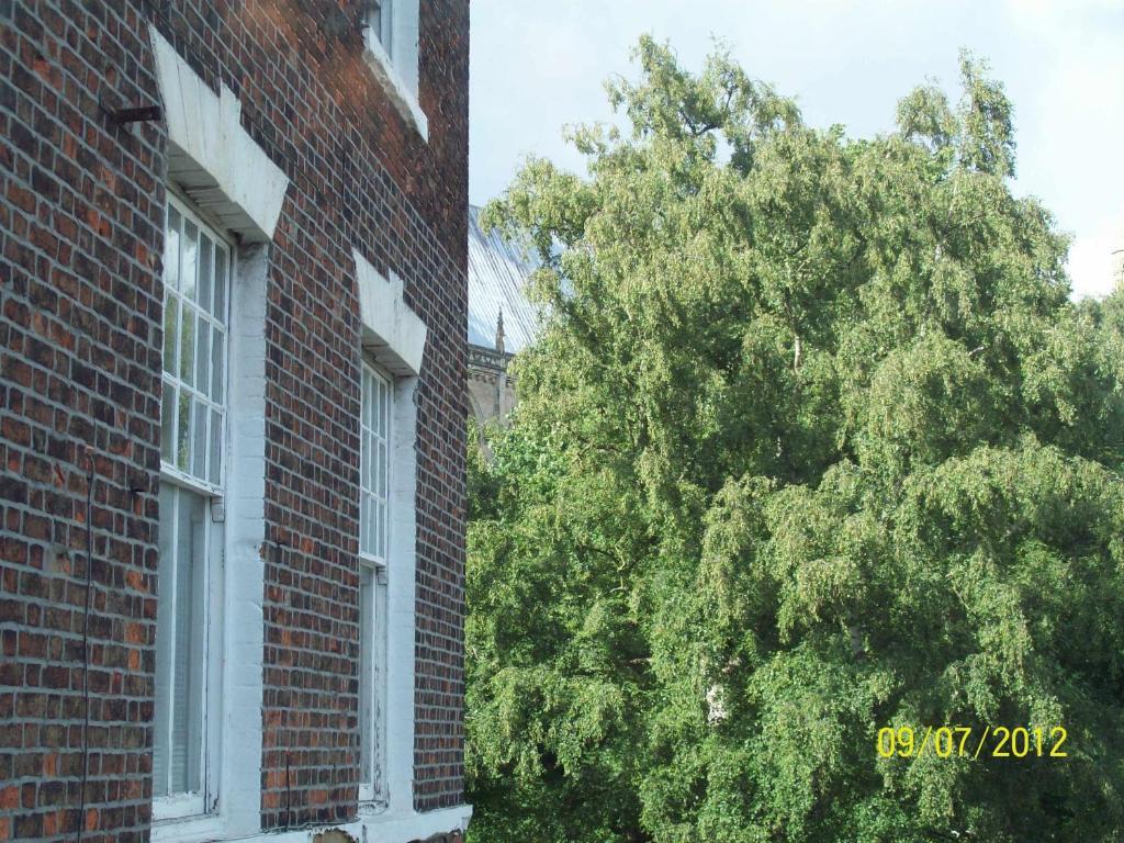 Minster Garth Guest House بيفيرلي الغرفة الصورة